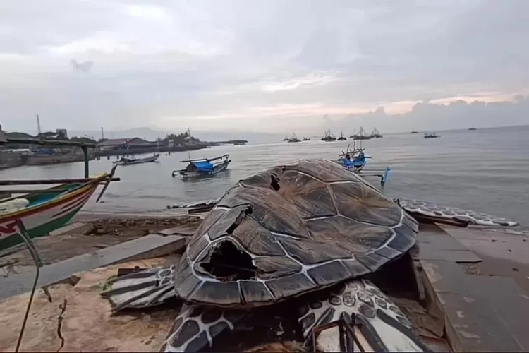 Menghabiskan Anggaran 15M Patung Penyu ini Ternyata Terbuat dari Kardus